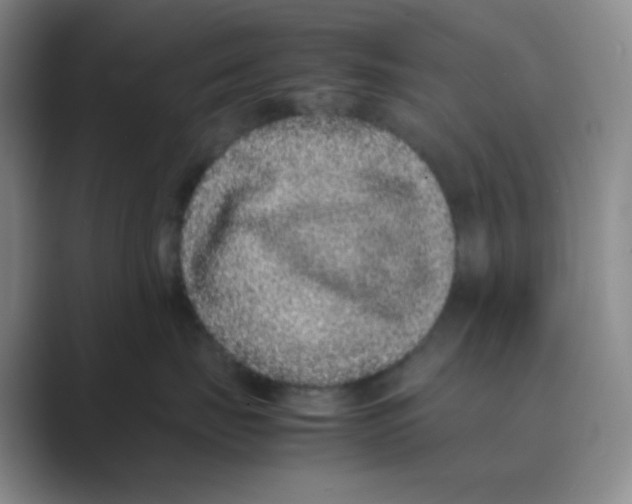 X0000088700671200706282024