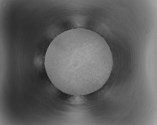 X0000088700672200706282024