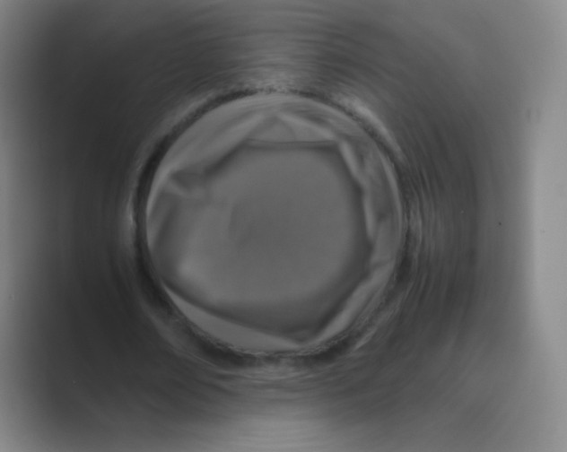 X0000088700674200706282023