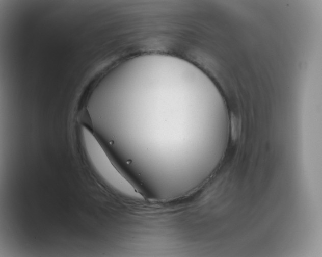 X0000088700675200706282023