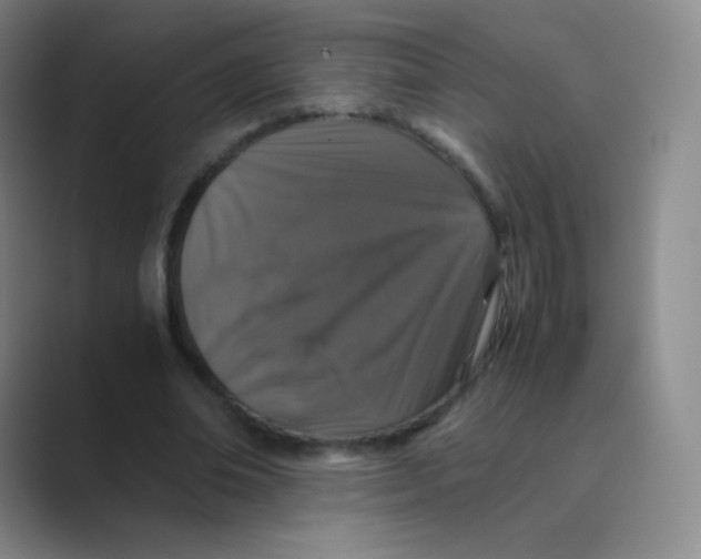 X0000088700678200706282023