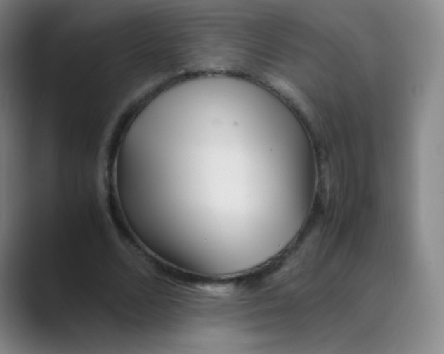 X0000088700680200706282023