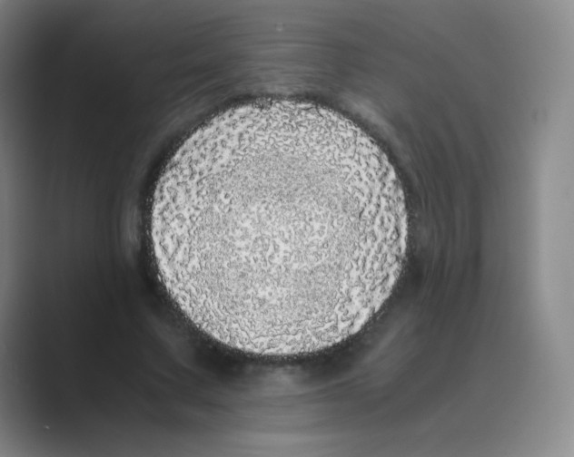 X0000088700683200706282023