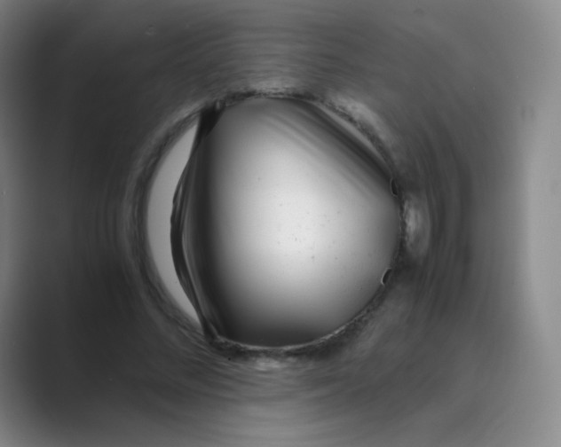 X0000088700684200706282023