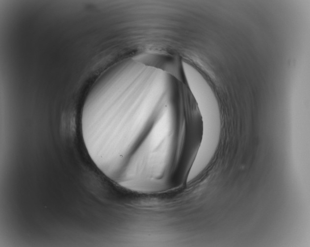 X0000088700685200706282023