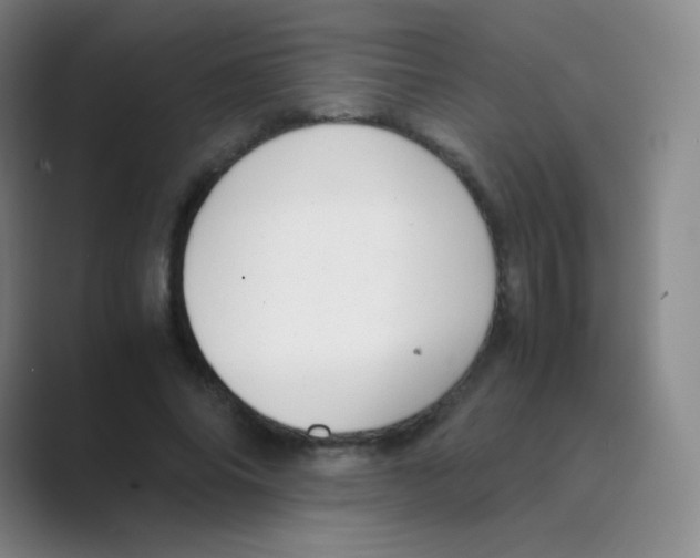 X0000088700686200706282023