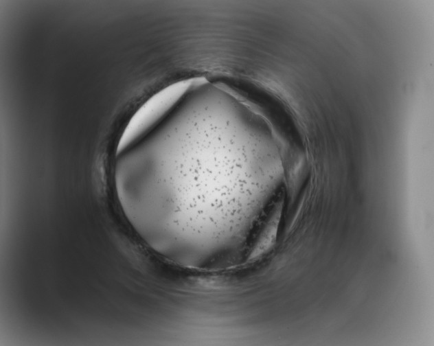 X0000088700688200706282023