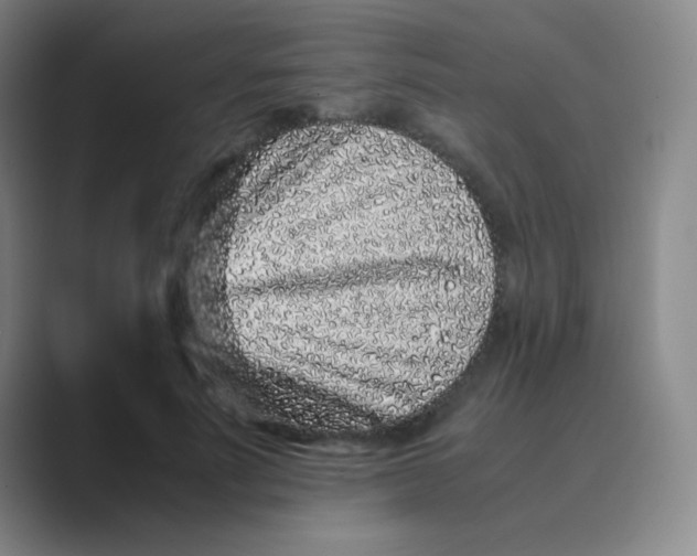 X0000088700691200706282023