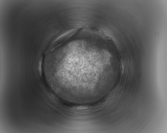 X0000088700692200706282023