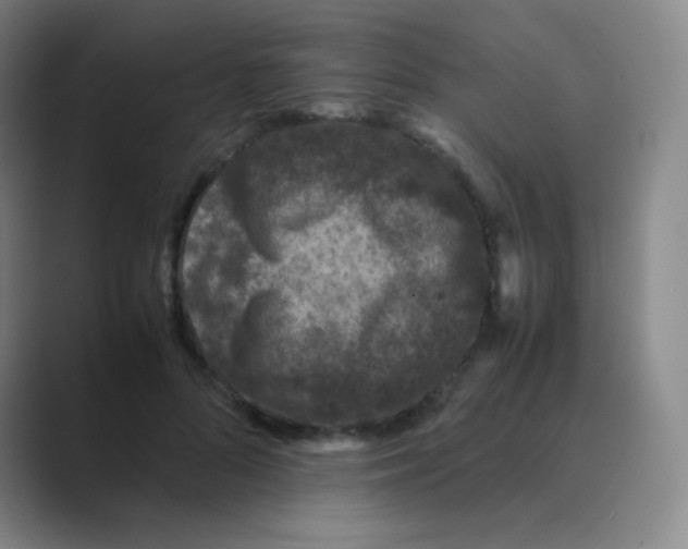 X0000088700696200706282023