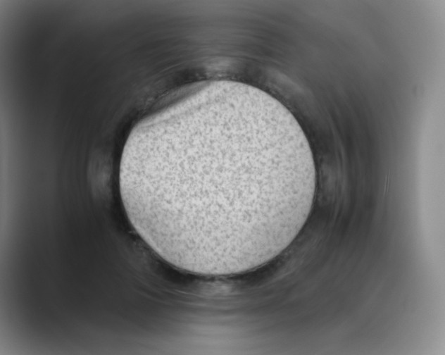 X0000088700698200706282023