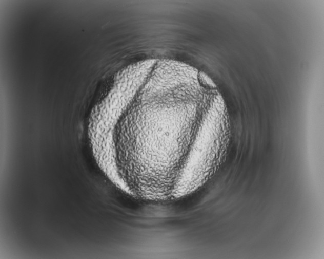 X0000088700699200706282023