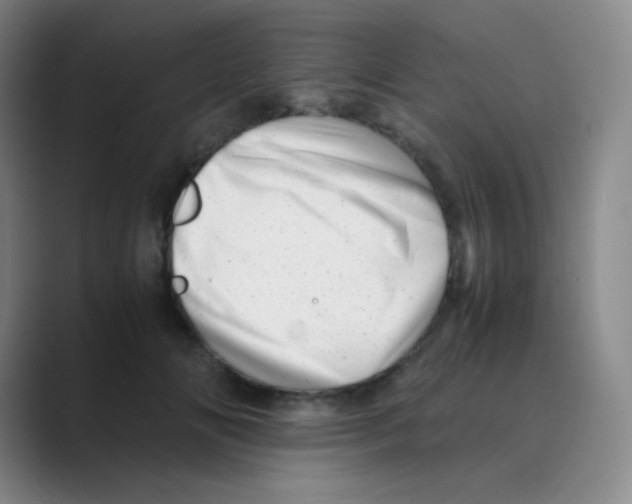 X0000088700702200706282023