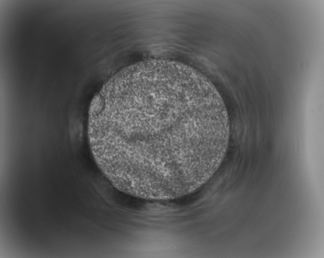 X0000088700703200706282023