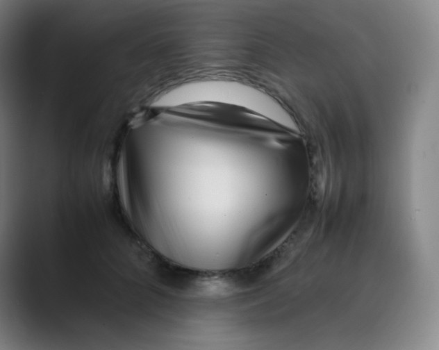 X0000088700704200706282023