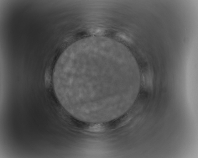 X0000088700705200706282023