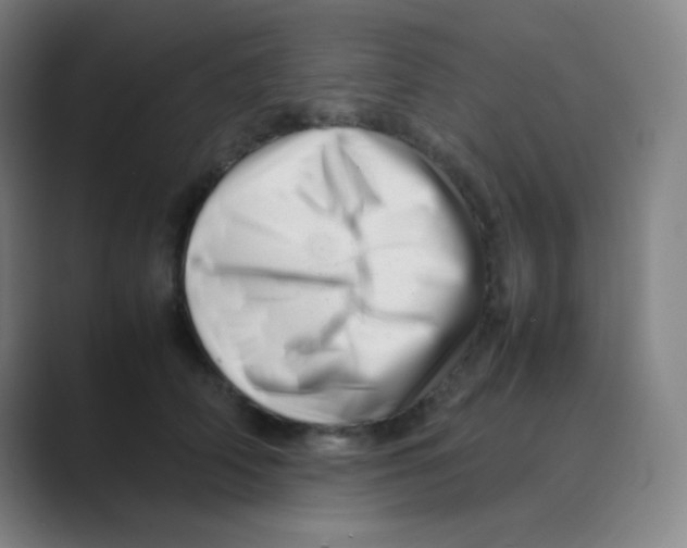 X0000088700706200706282023