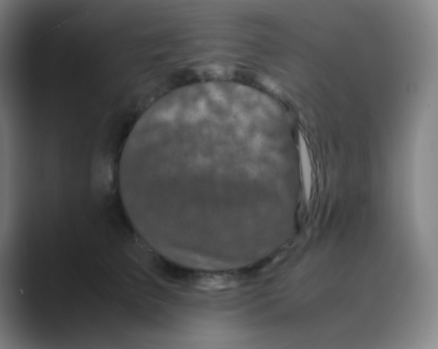 X0000088700709200706282023