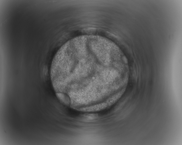 X0000088700711200706282023