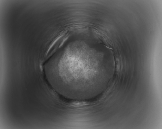 X0000088700712200706282023