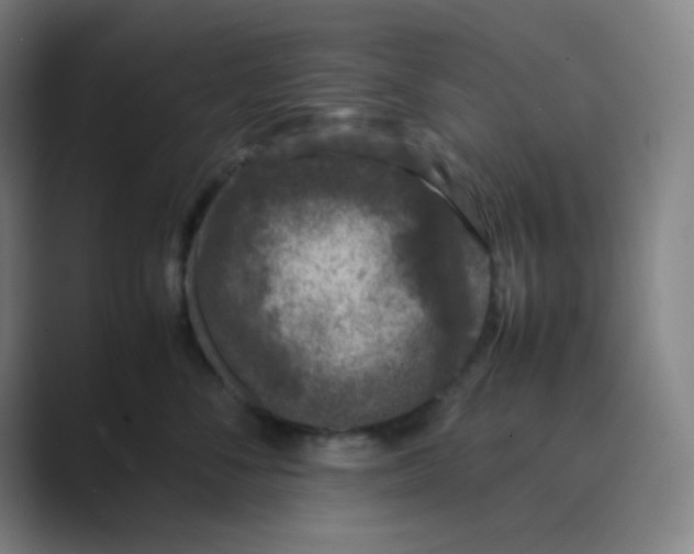 X0000088700716200706282023