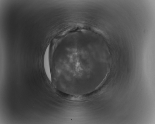 X0000088700720200706282023