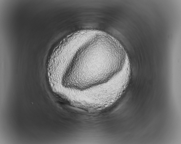 X0000088700721200706282022