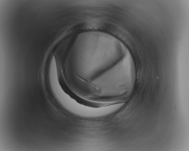 X0000088700722200706282022