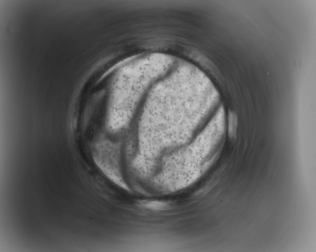 X0000088700723200706282022