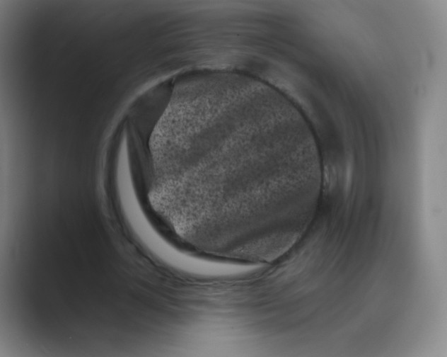 X0000088700724200706282022