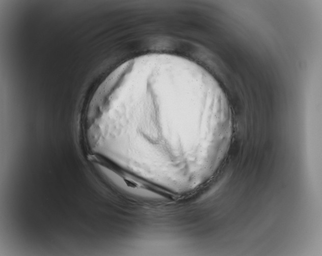 X0000088700725200706282022