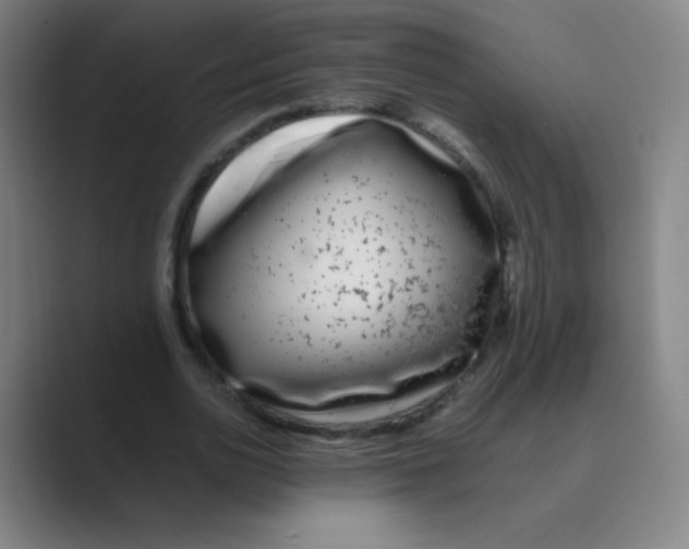 X0000088700726200706282022