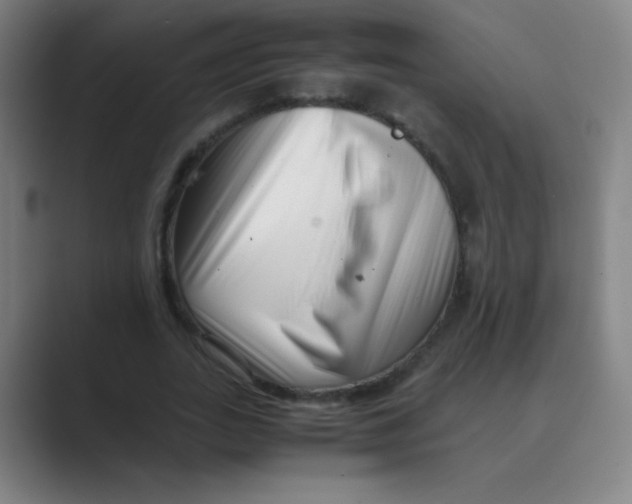 X0000088700727200706282022