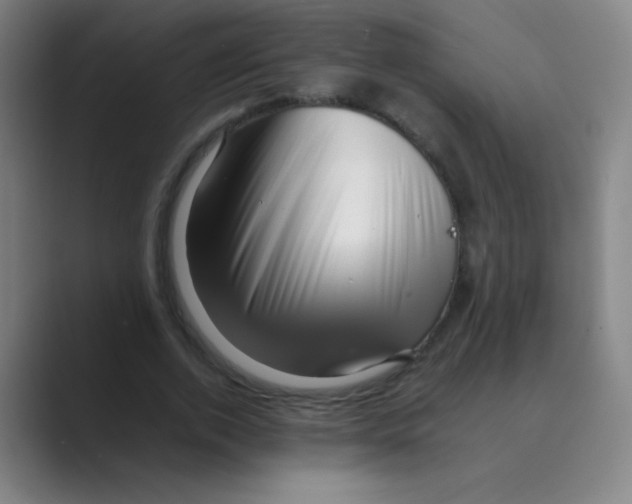 X0000088700728200706282022