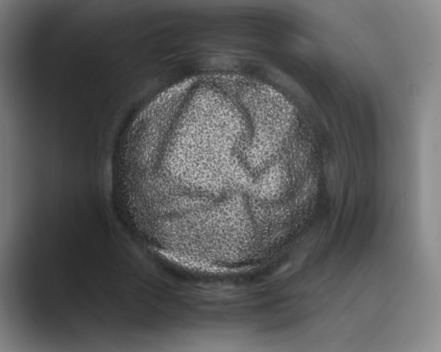 X0000088700729200706282022