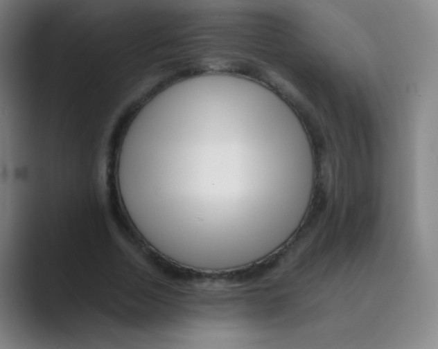 X0000088700730200706282022