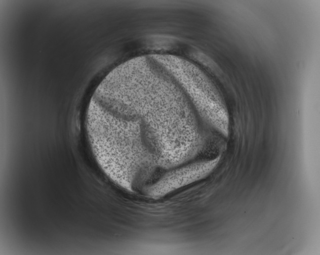 X0000088700731200706282022