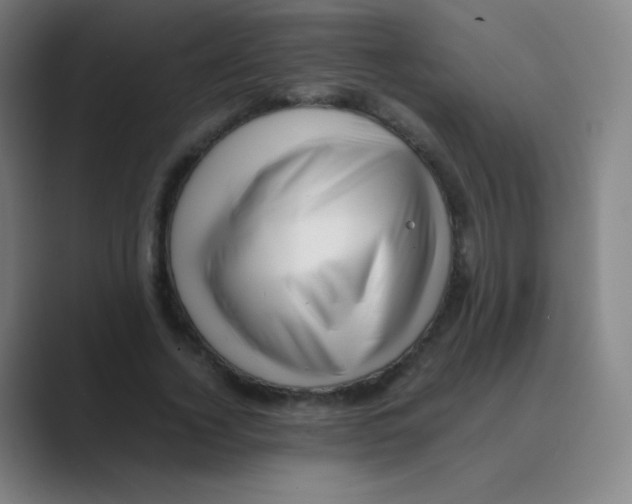 X0000088700732200706282022