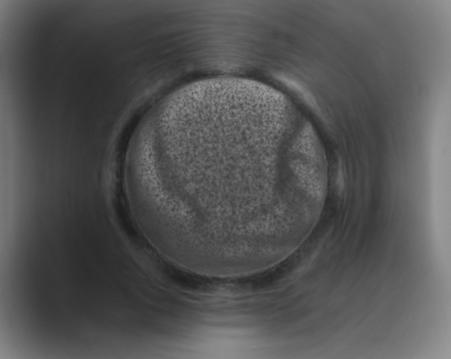 X0000088700736200706282022