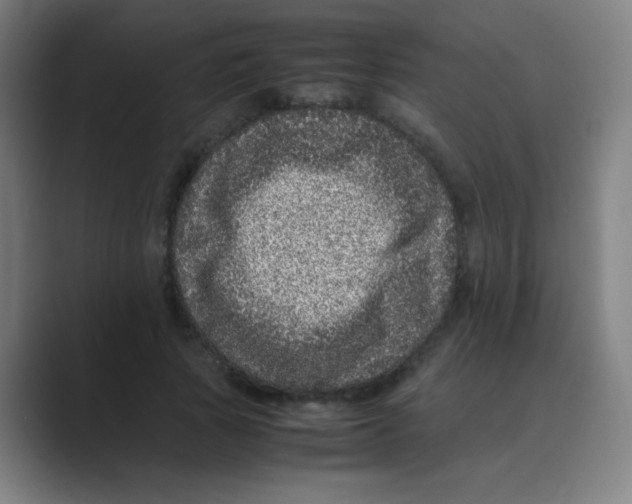 X0000088700737200706282022