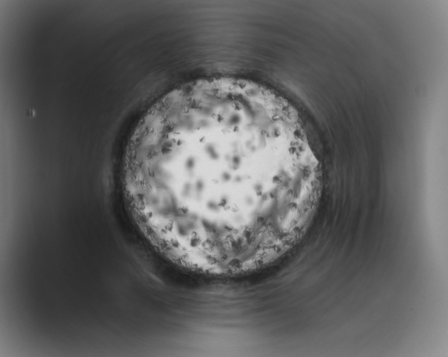 X0000088700738200706282022