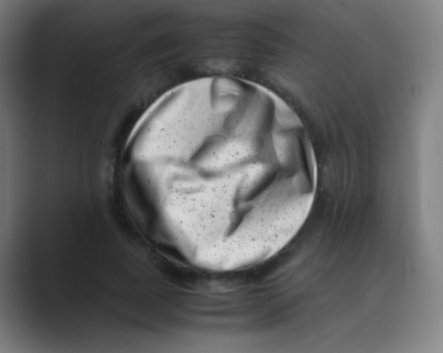 X0000088700739200706282022