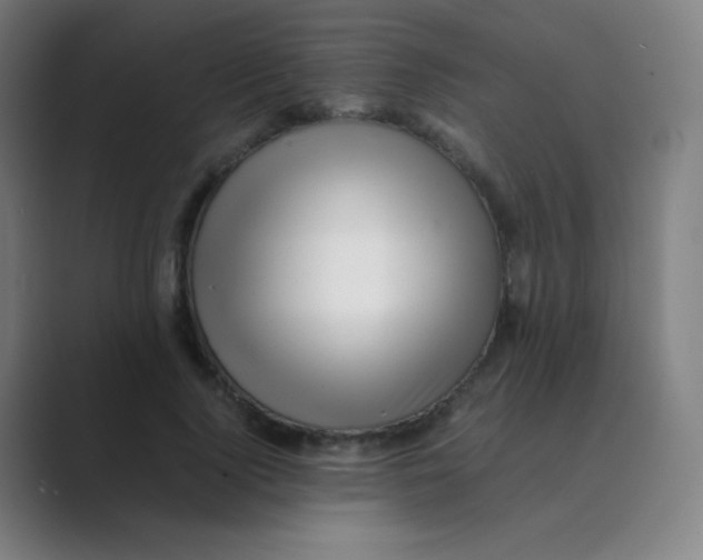 X0000088700740200706282022