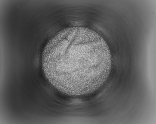 X0000088700741200706282022