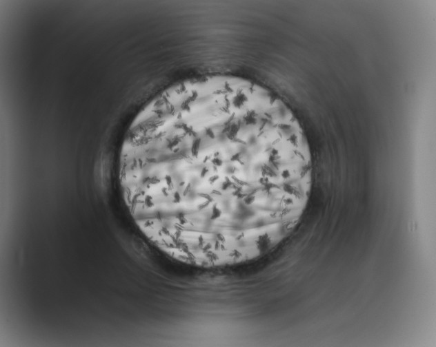 X0000088700742200706282022