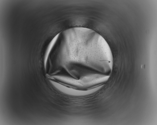 X0000088700743200706282022