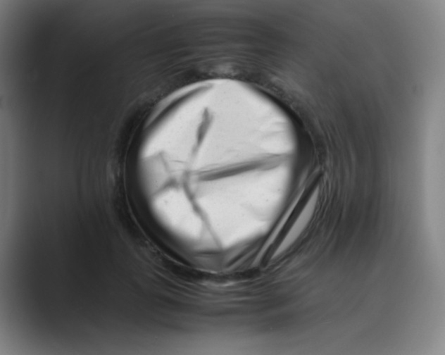 X0000088700747200706282022