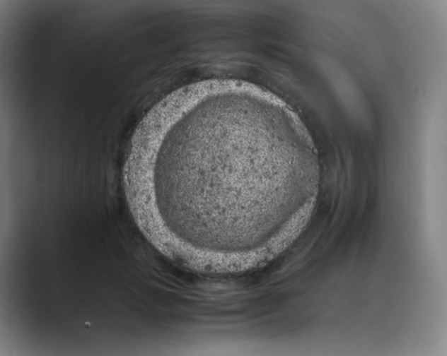 X0000088700749200706282023