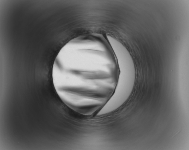 X0000088700750200706282023