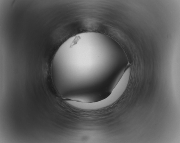 X0000088700752200706282023